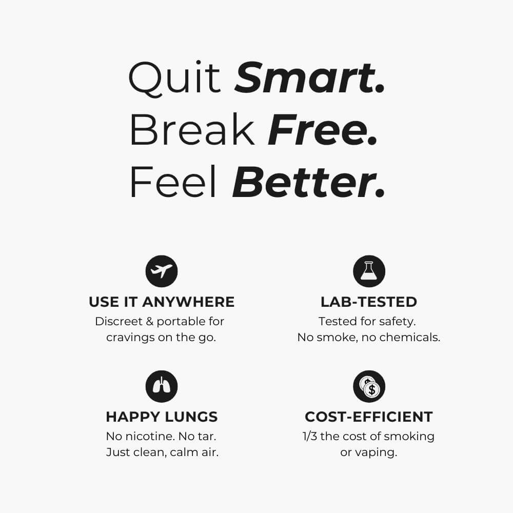 Sasillia Complete Kit (Copy V2)