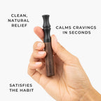 Sasillia Complete Kit (Copy V2)